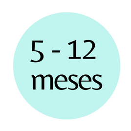 LIBROS DE TEXTURAS (5 MESES A 12 MESES)