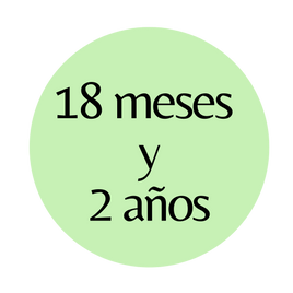LIBROS DE 18 MESES